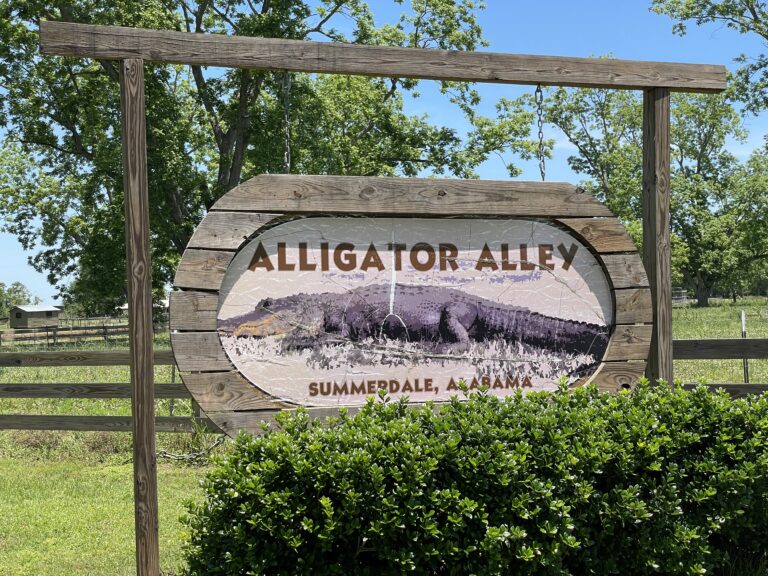 picture of alligator alley sign from alabama