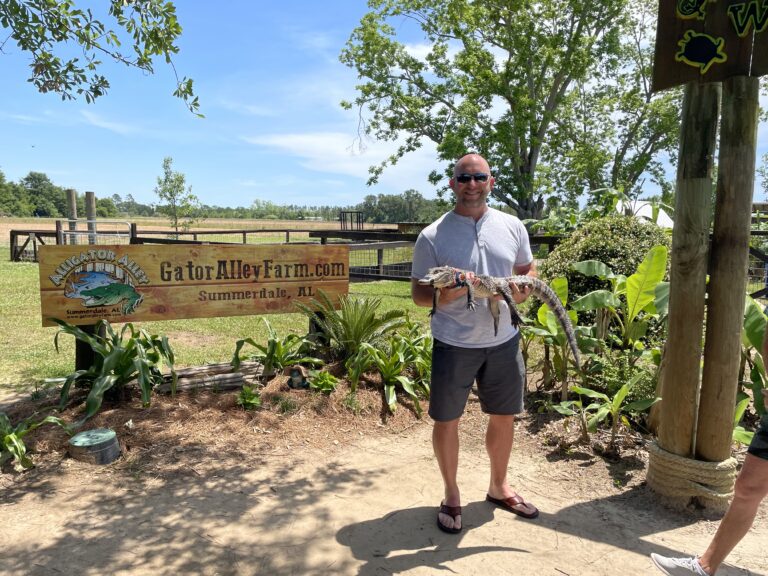 a man at alligator alley in alabama holding a baby alligator
